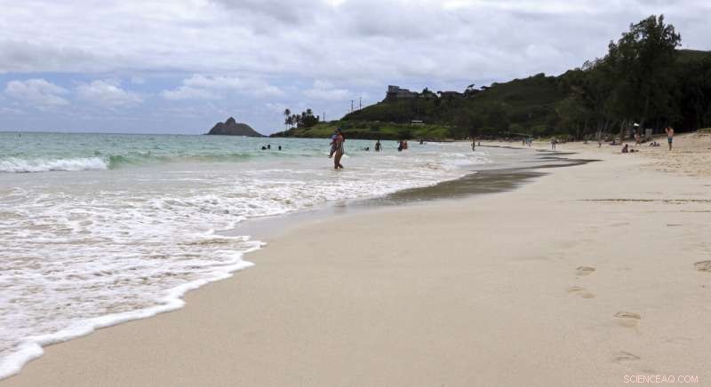 Kailua Beach, Hawaii Recognized as America s Top Beach by Dr. Beach