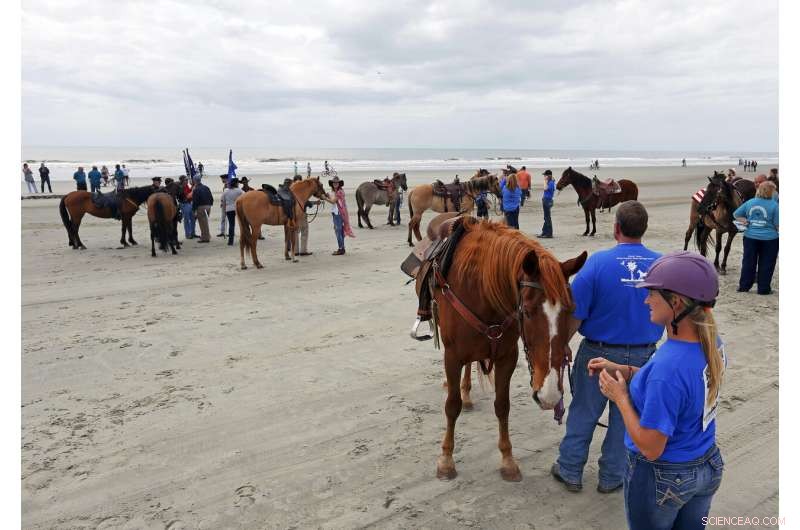 Kailua Beach, Hawaii Recognized as America s Top Beach by Dr. Beach