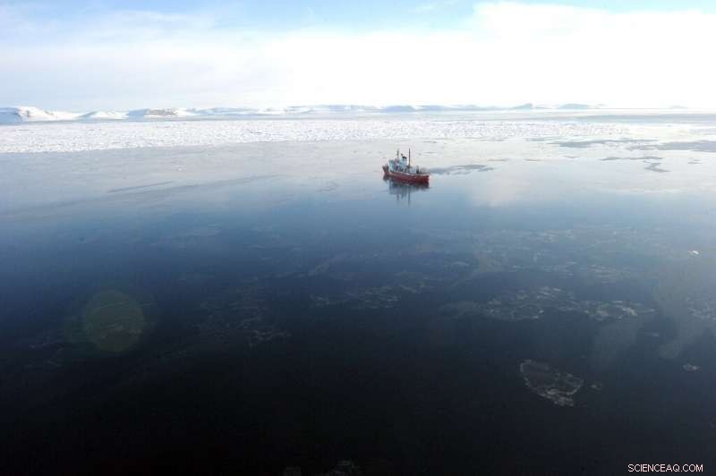 Northward Plankton Migration: Climate Change Drives Oceanic Shift
