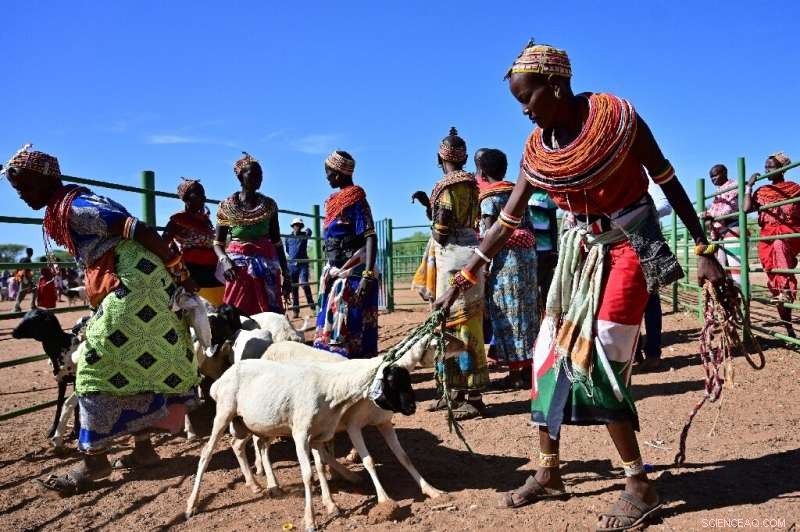 How Kenyan Herders Blend Tradition and Technology to Combat Climate Change