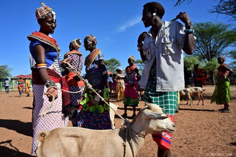 How Kenyan Herders Blend Tradition and Technology to Combat Climate Change