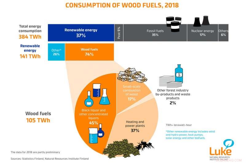 Wood Fuel Use in Power Generation Surges to New Records