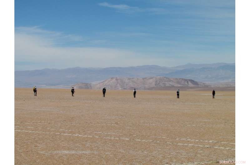 World’s Oldest Meteorite Collection Discovered in the Atacama Desert