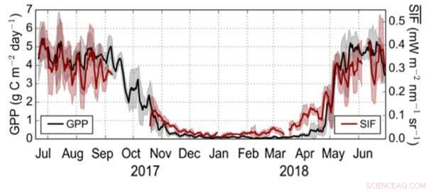 Forest Glow Signals Early Spring Awakening Revealed by Solar Fluorescence