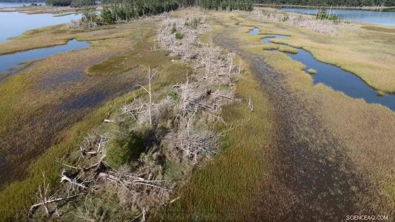 New Study Reveals How Rural Coasts Are at Risk from Rising Sea Levels