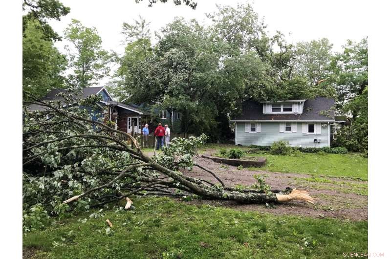 Tornado Alert in the East: Storm Season Creates Uncertainty (Update)