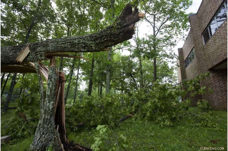 Tornado Alert in the East: Storm Season Creates Uncertainty (Update)