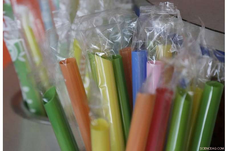 Oregon House Approves Ban on Restaurant Plastic Straws