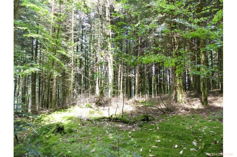 Airborne Metal Pollution Increases Mortality Risk: New Study Reveals Critical Findings