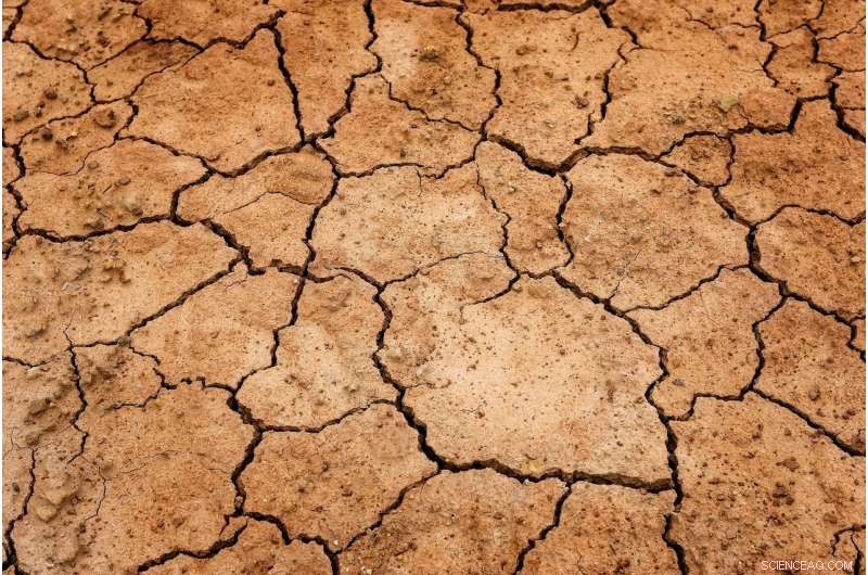 How Ancient Macedonian Forests Sparked the World’s First Environmental Disaster