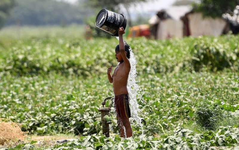 India s Northern Region Reaches 50°C in Record Heatwave, Prompting Water Shortage Warnings