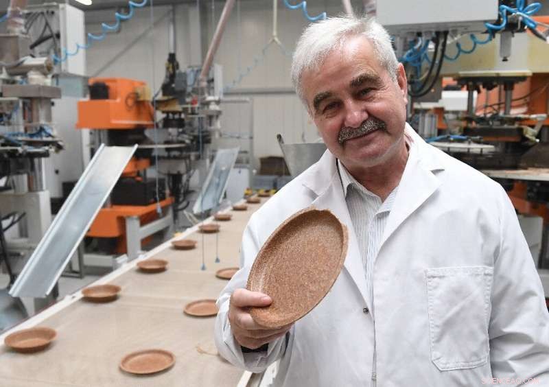 Polish Inventor Launches Edible Wheat Bran Plate: A Sustainable Dining Revolution