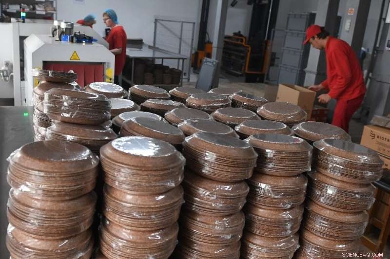 Polish Inventor Launches Edible Wheat Bran Plate: A Sustainable Dining Revolution