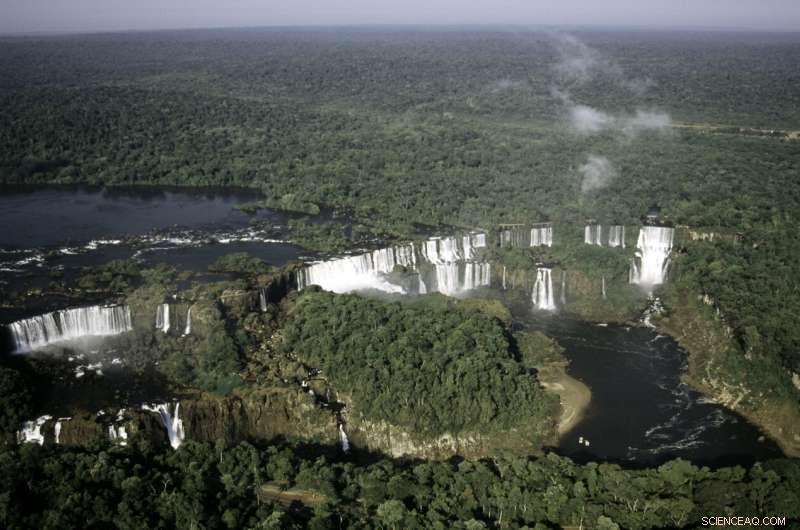 Global Protected Areas Shrinking, New Study Highlights Urgent Conservation Challenge