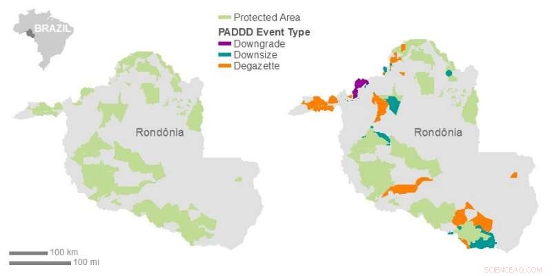 Global Protected Areas Shrinking, New Study Highlights Urgent Conservation Challenge