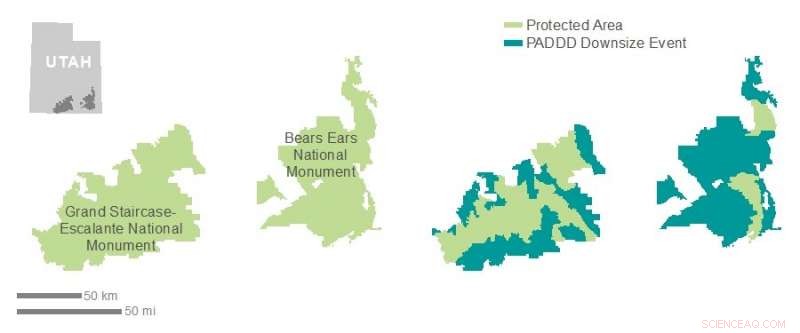 Global Protected Areas Shrinking, New Study Highlights Urgent Conservation Challenge