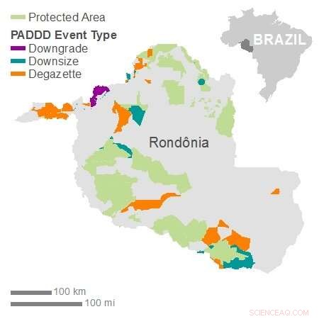 Global Protected Areas Shrinking, New Study Highlights Urgent Conservation Challenge
