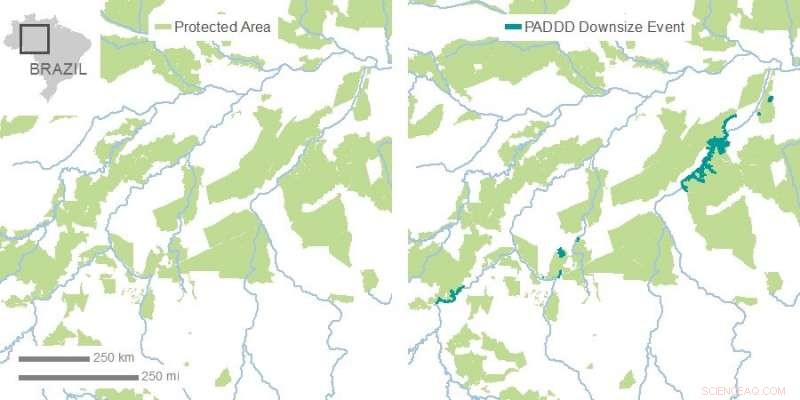 Global Protected Areas Shrinking, New Study Highlights Urgent Conservation Challenge