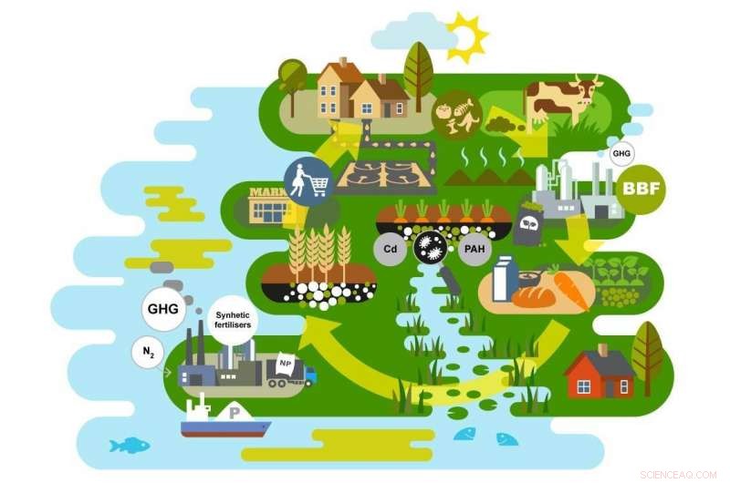 Bio‑Based Fertilizers: Enhancing Phosphorus Availability & Cutting Greenhouse Gas Emissions