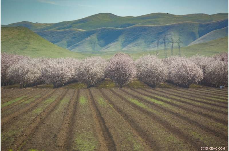 Rising Water Scarcity and Unyielding Demand Endanger River Basins Worldwide