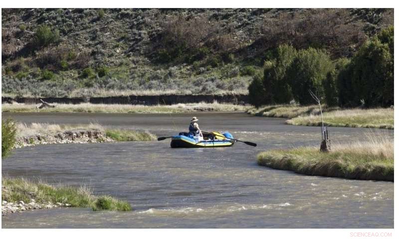 Evaluating the Effects of Water Flow Regulation at El Vado Dam on New Mexico’s River Ecosystems