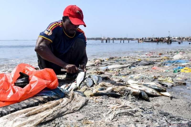 Senegal Moves Toward Zero Waste: Communities Tackle Trash