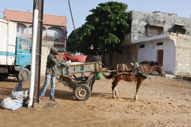 Senegal Moves Toward Zero Waste: Communities Tackle Trash