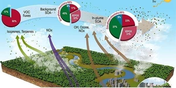 Urban Pollution Triggers 400% Rise in Aerosol Production Over the Amazon Rainforest