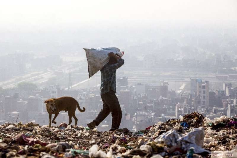 India s Largest Landfill Set to Surpass Taj Mahal in Height