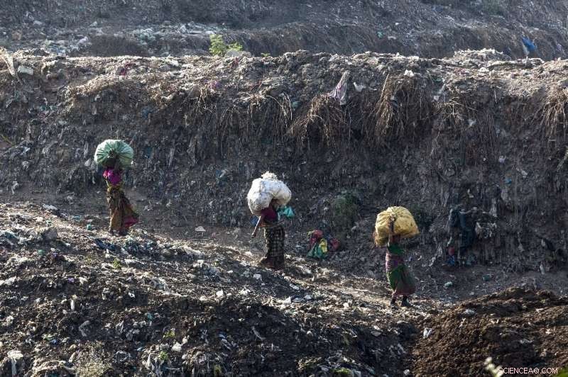 India s Largest Landfill Set to Surpass Taj Mahal in Height