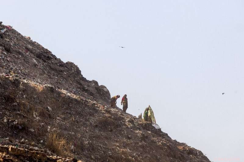 India s Largest Landfill Set to Surpass Taj Mahal in Height