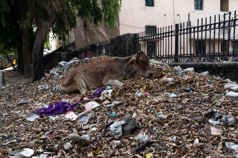 Assam School Turns Plastic Waste Into Construction Bricks to Pay Fees