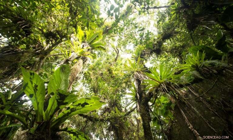 Reducing Air Pollution: Strategies for a Cleaner Planet