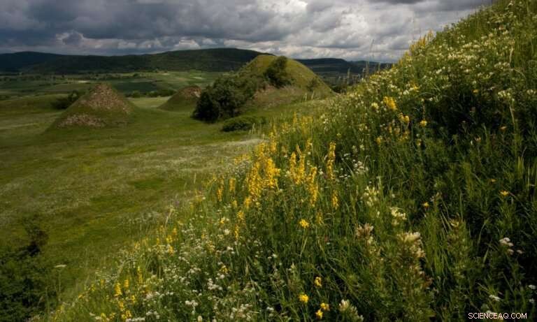 Reducing Air Pollution: Strategies for a Cleaner Planet