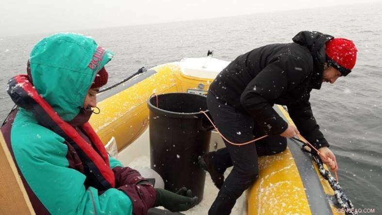 How Earth s Rotation Drives Water Movement in Lake Garda