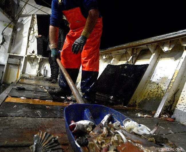 Italian Fishermen Lead Initiative to Reduce Marine Plastic Pollution