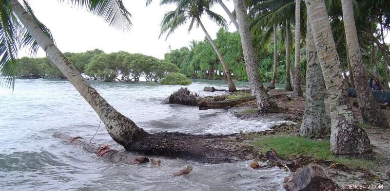 The Human Impact of Climate Change Relocation: What Communities Need to Know