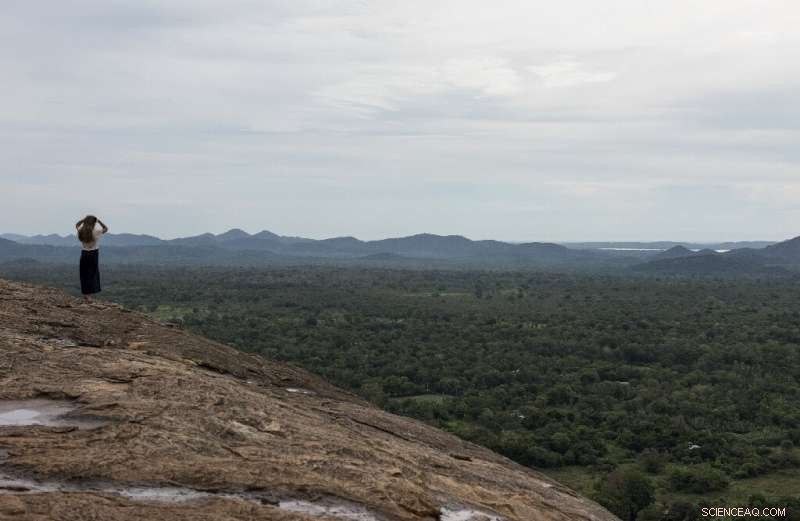 Sri Lanka to Ban Chainsaws and Shut Timber Mills to Protect Forests – President