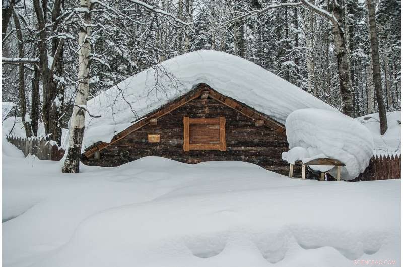 Could Climate Change Render Siberia Habitable for Humans?