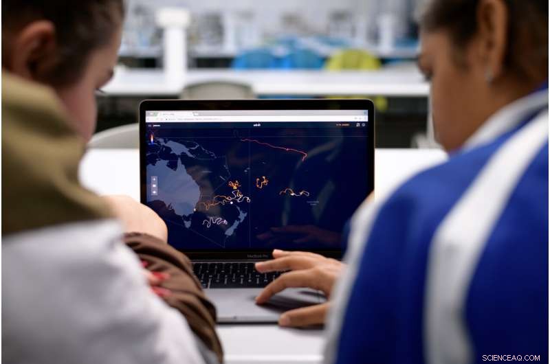 Discovering Ocean’s Hidden Heroes: Mapping Microbial Life One Species at a Time