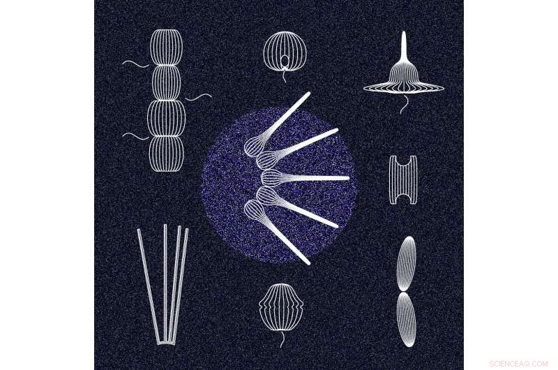 Discovering Ocean’s Hidden Heroes: Mapping Microbial Life One Species at a Time