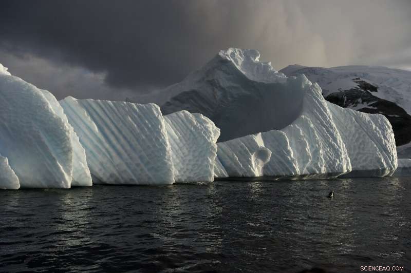 Oceans at the Forefront: Why Protecting Them is Vital for Climate Stability