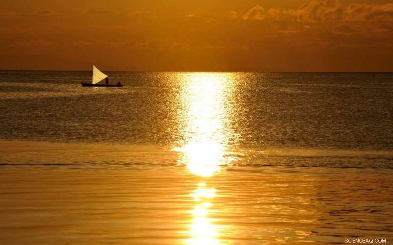 Oceans at the Forefront: Why Protecting Them is Vital for Climate Stability