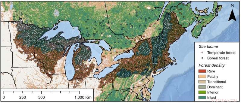 Older Forests Show Resilience to Climate Change, Study Finds