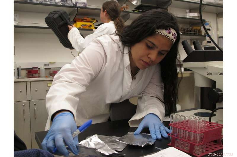 New Study Highlights Impact of Stormwater Discharges on Coastal Water Quality