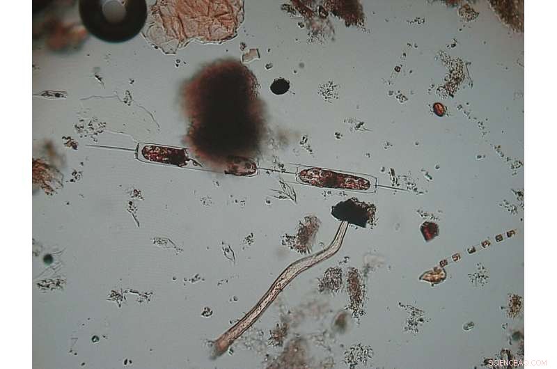 New Study Highlights Impact of Stormwater Discharges on Coastal Water Quality