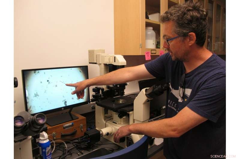 New Study Highlights Impact of Stormwater Discharges on Coastal Water Quality