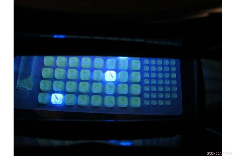 New Study Highlights Impact of Stormwater Discharges on Coastal Water Quality