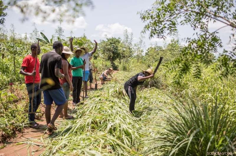 West African Farm Bootcamp Shapes Future Green Entrepreneurs