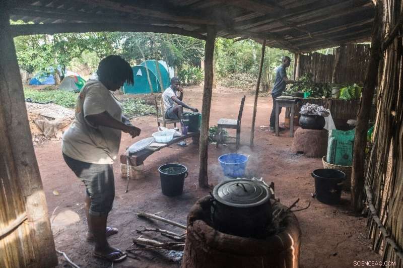 West African Farm Bootcamp Shapes Future Green Entrepreneurs